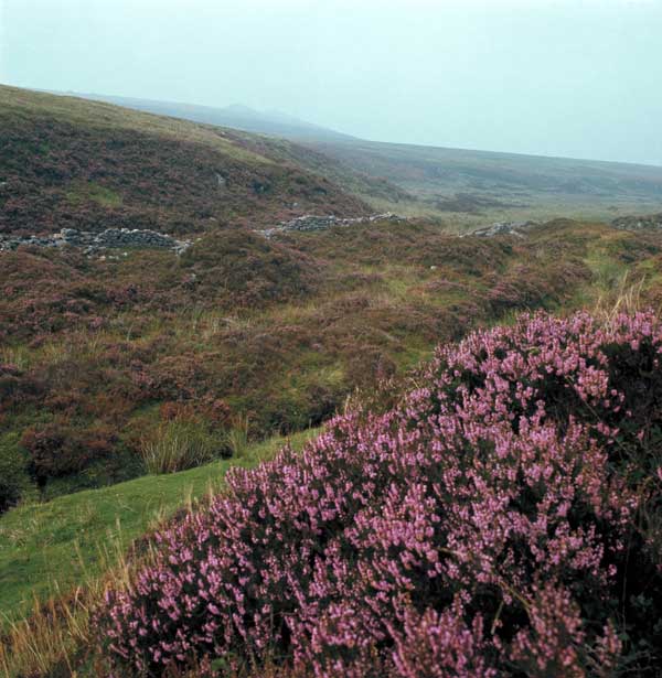 letterboxing-on-dartmoor
