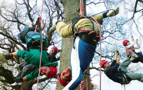 family-tree-climbing-with-ropes
