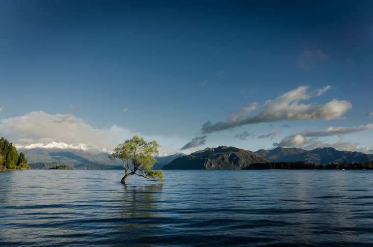 The view across Lake Wanaka