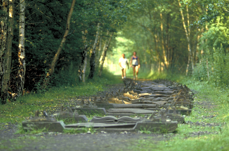 Explore the Forest of Dean's many paths|Visit Britain