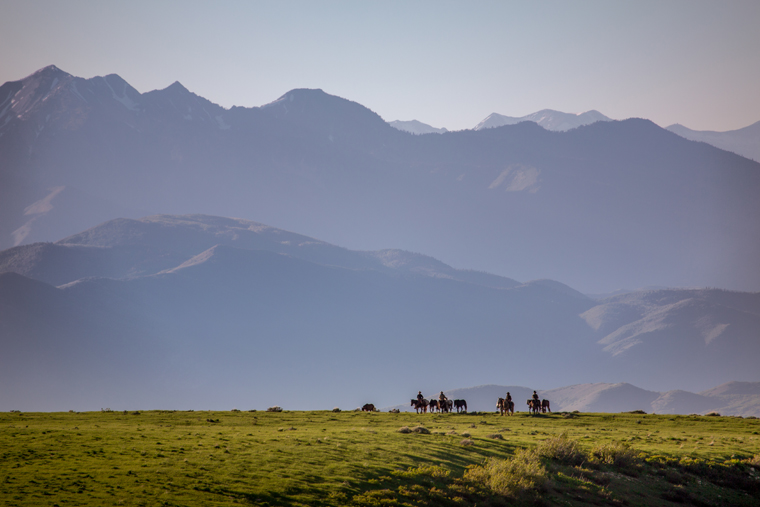 The Wild West on even wilder horses |Ben Masters 