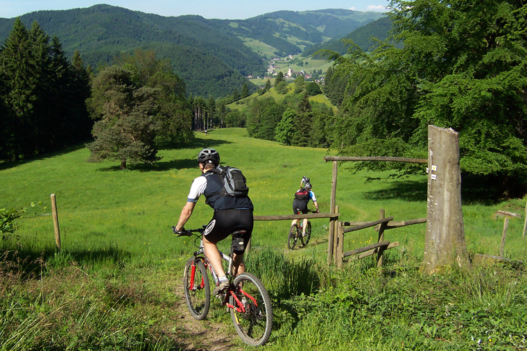  The Black Forest is a great choice for bikers |Bitou GmbH