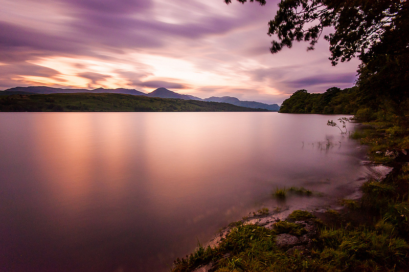 Purple Sky