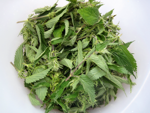 How to make nettle wine 1. Pick some nice young nettle tops – just the top four leaf sets – using gardening gloves. Get a carrier bag’s worth for this 6-litre recipe.