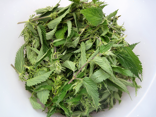 How to make nettle wine 