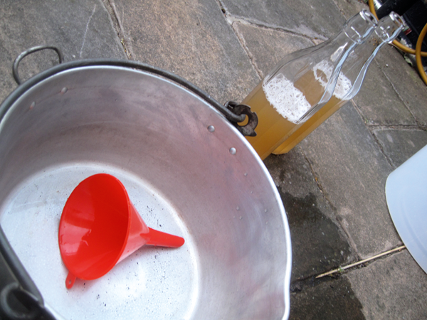 Nettle beer