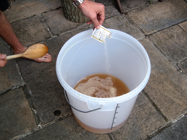 nettle beer