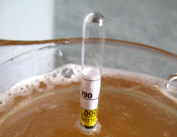 nettle beer