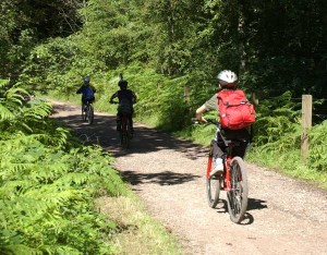 family-freindly-cycle-routes