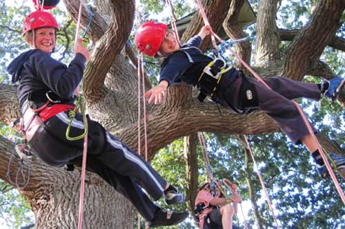 hanging-around-in-trees