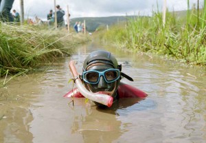 bog-snorkelling