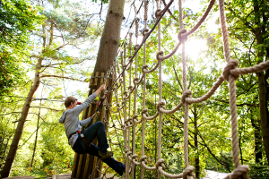 goape-competetion