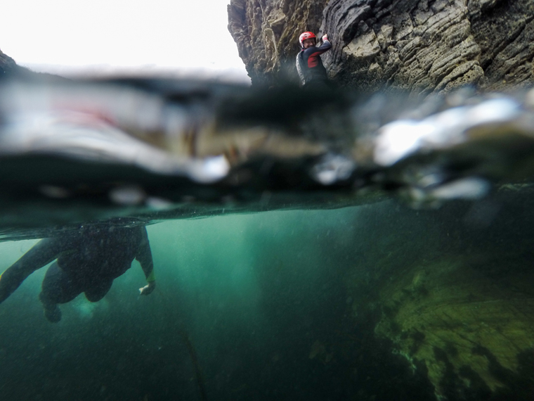 Srcambling, climbing and swimming combine